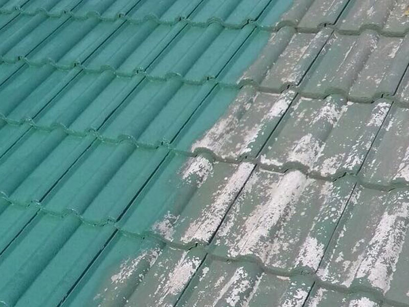 Roof Painting